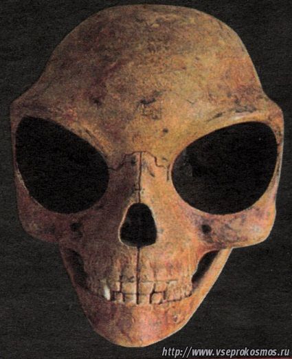 Странный череп, найденный в Дании