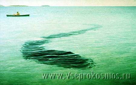 Чудовище Чёрного моря