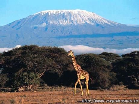 Килиманджаро. Африка